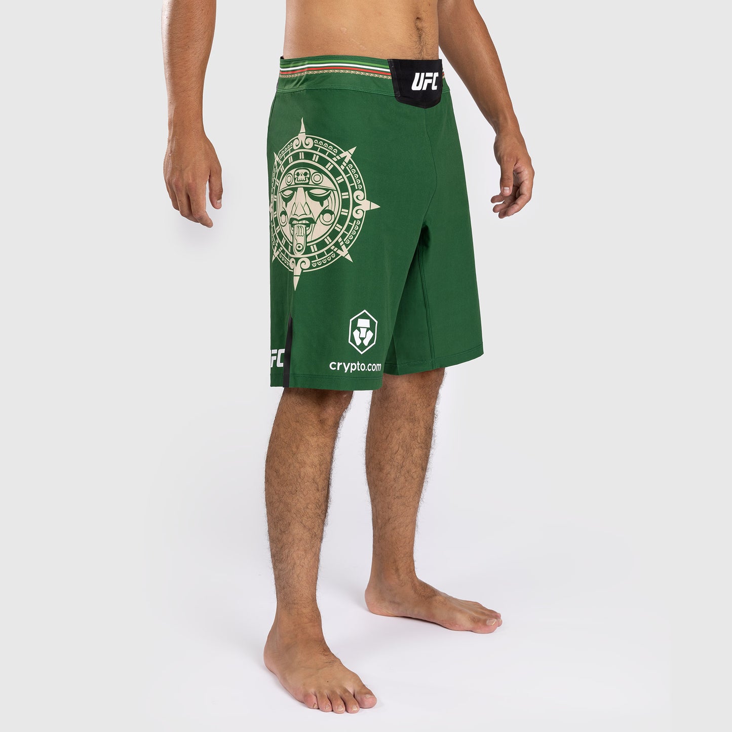 Noche UFC by Venum Authentic Fight Night Мужские шорты Fight, длинные, зеленые