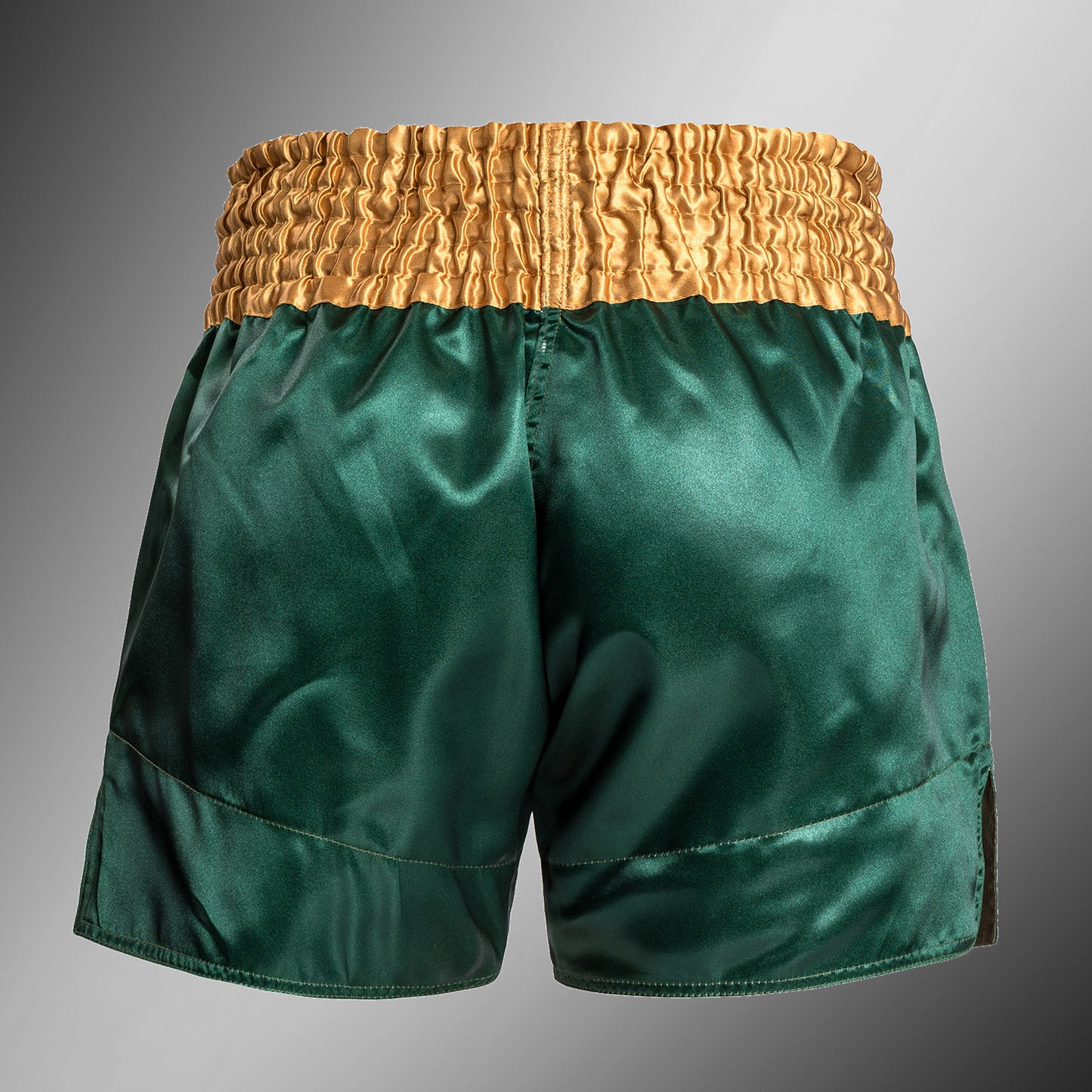 Venum Classic - Шорты Muay Thaï Short - зеленый/золотой/белый