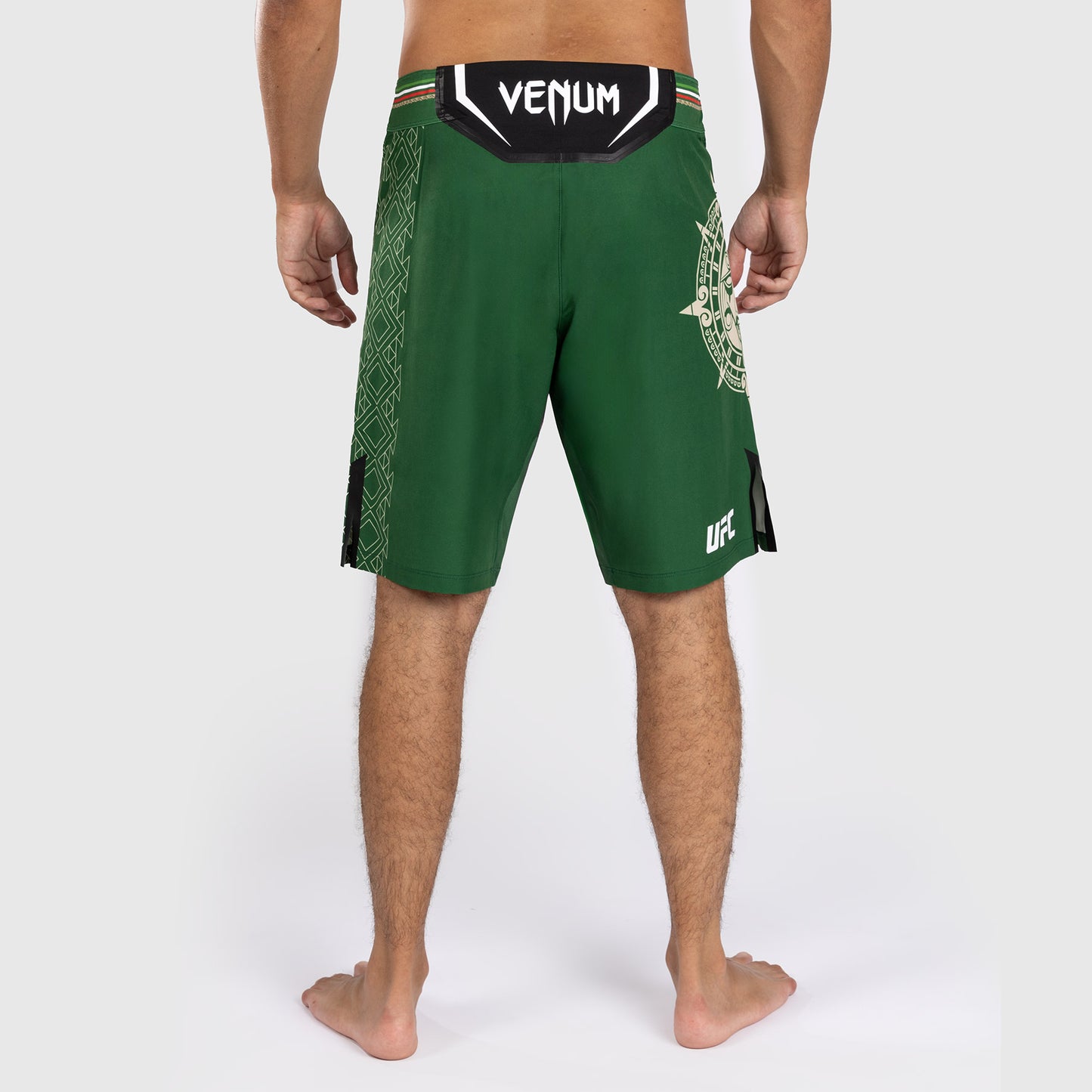 Noche UFC by Venum Authentic Fight Night Мужские шорты Fight, длинные, зеленые