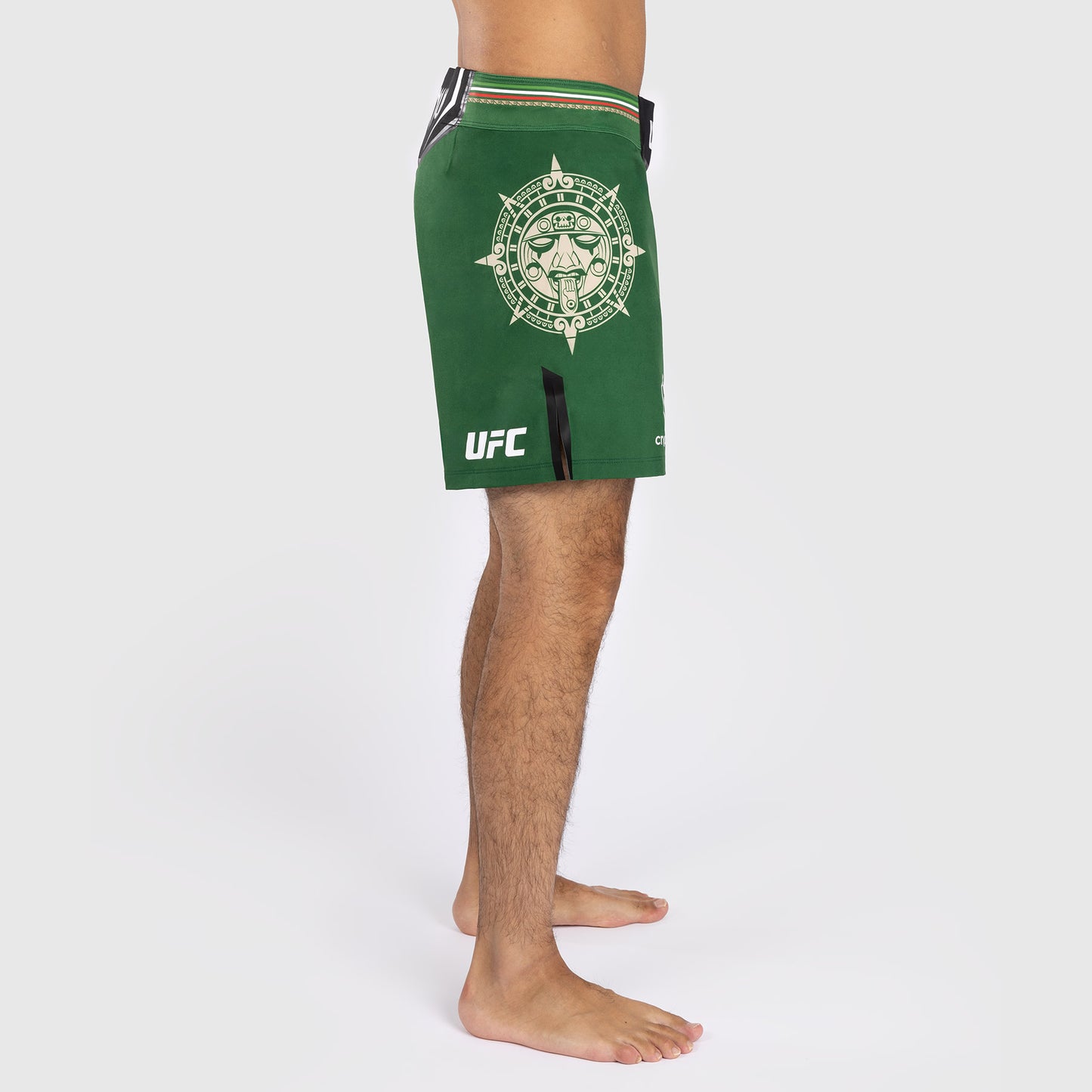 Noche UFC by Venum Authentic Fight Night Мужские шорты для борьбы - короткий крой - зеленый