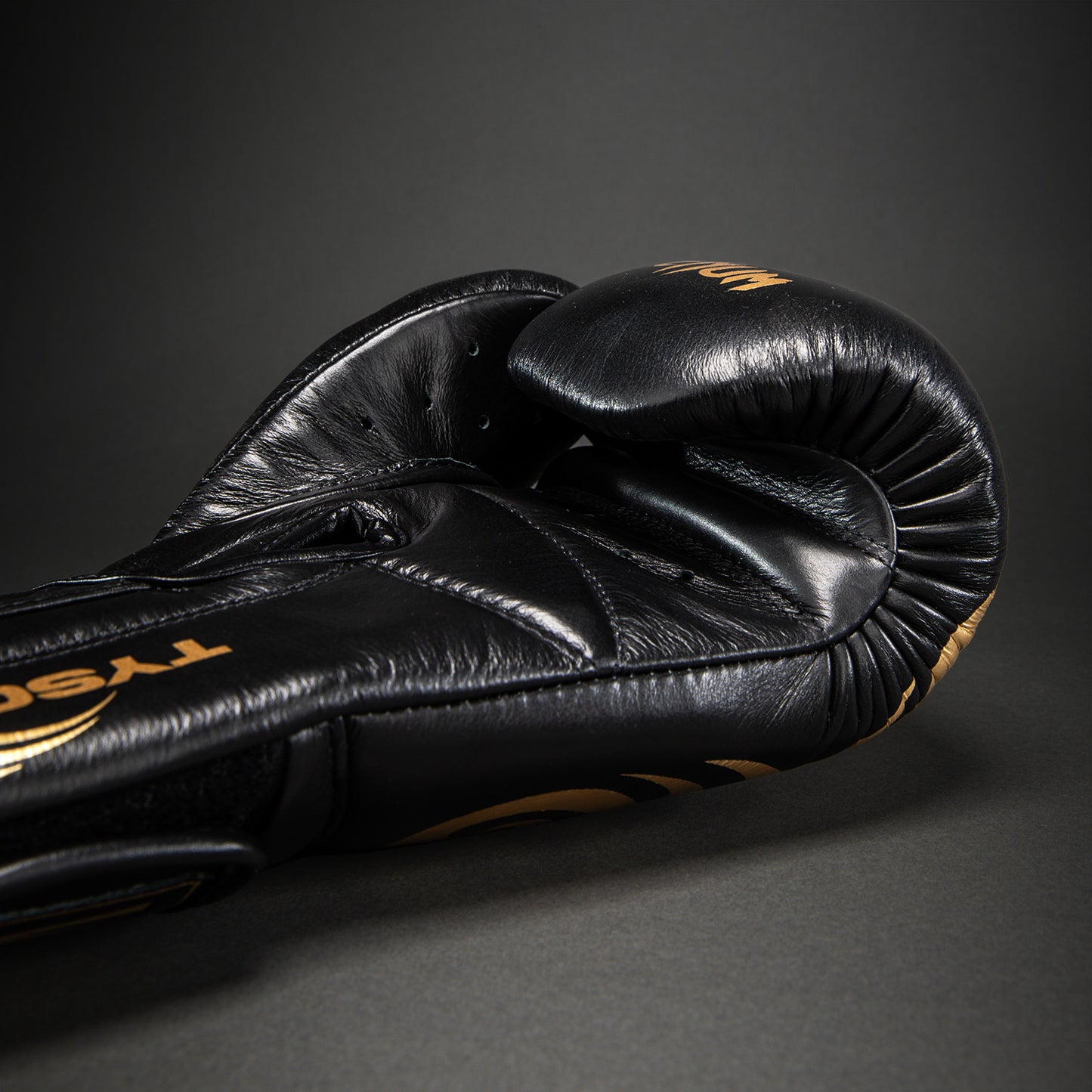 Боксерские перчатки Venum Giant 2.0 Mike Tyson Pro – Чёрный/Золотой