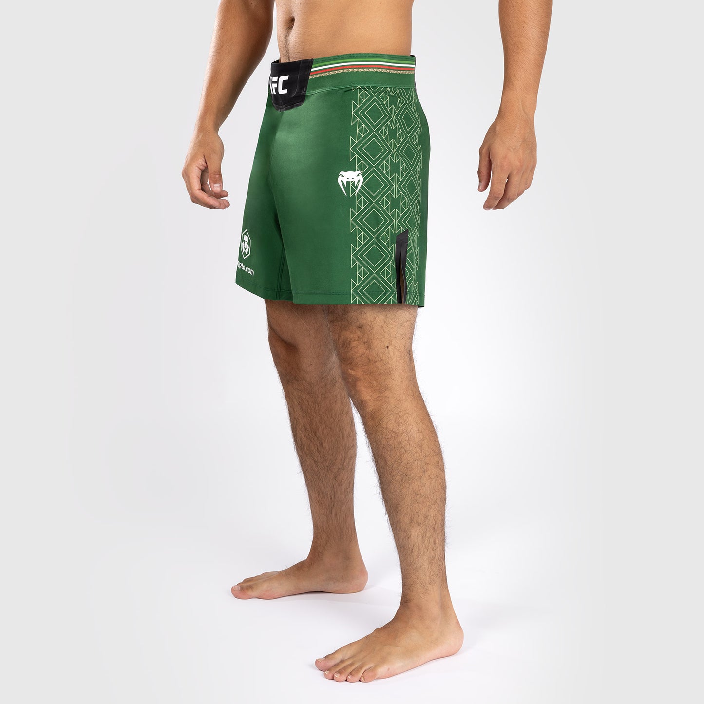 Noche UFC by Venum Authentic Fight Night Мужские шорты для борьбы - короткий крой - зеленый