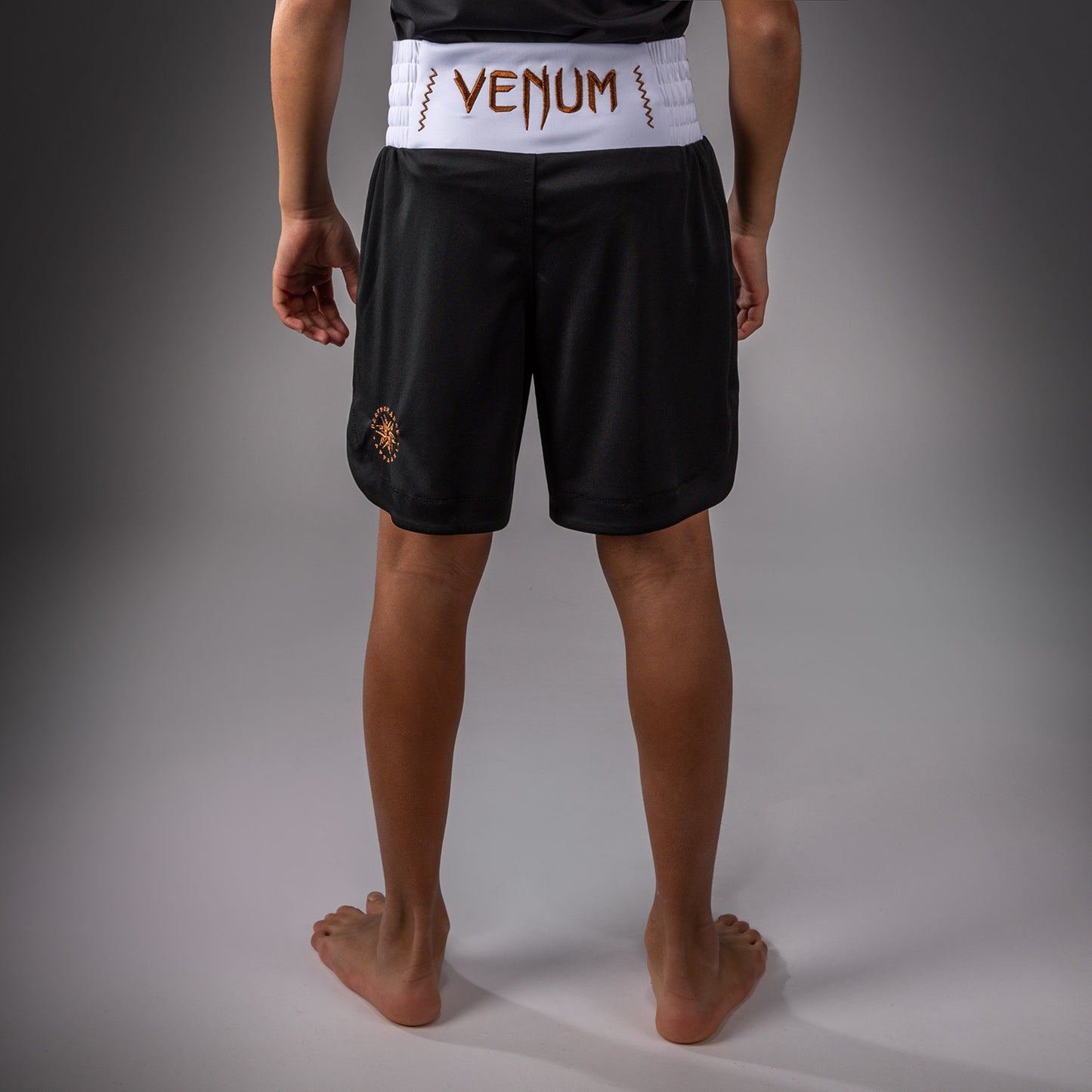 Боксерские шорты Venum Classic для детей – Чёрный/Золотой