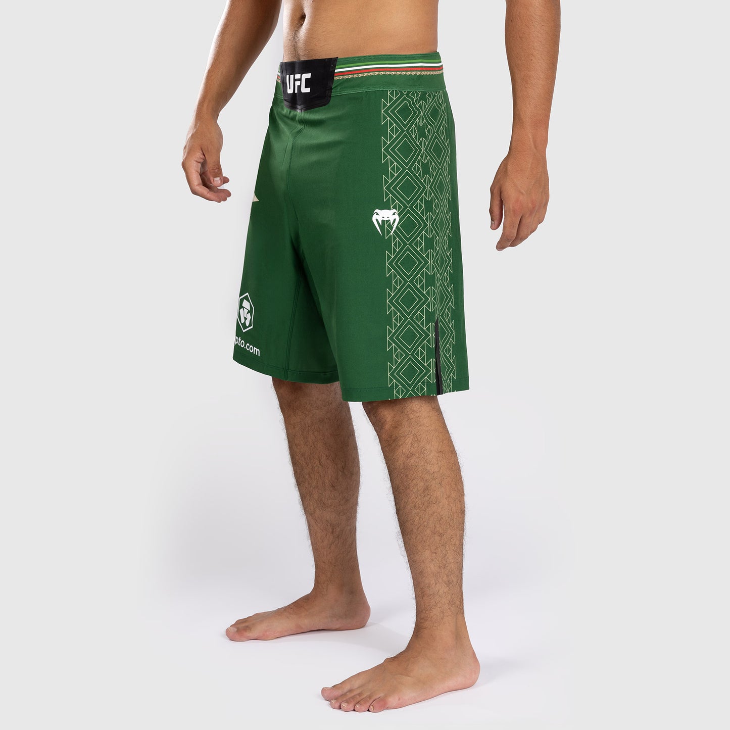 Noche UFC by Venum Authentic Fight Night Мужские шорты Fight, длинные, зеленые