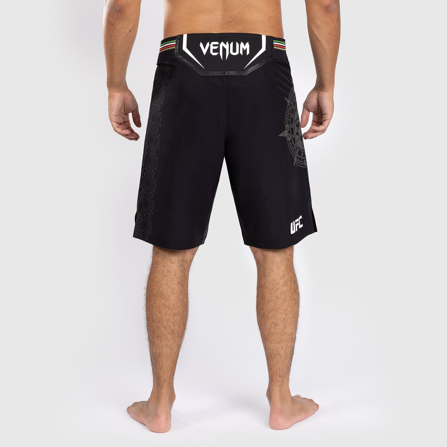 Noche UFC by Venum Authentic Fight Night Мужские шорты Fight, удлиненные, черные