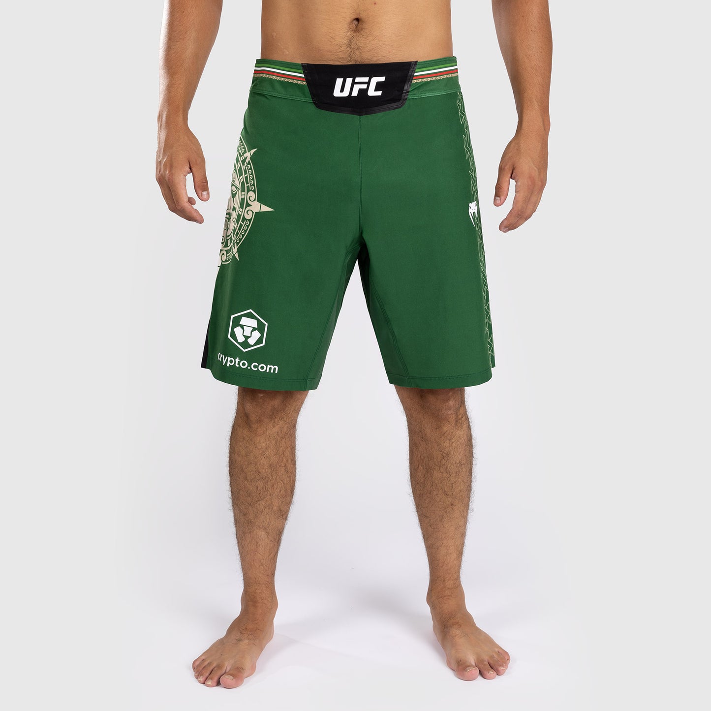 Noche UFC by Venum Authentic Fight Night Мужские шорты Fight, длинные, зеленые
