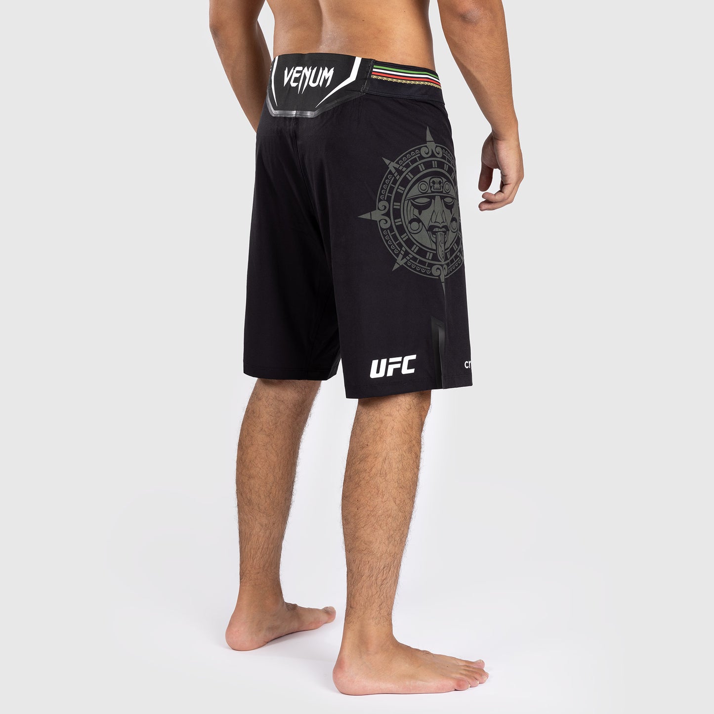 Noche UFC by Venum Authentic Fight Night Мужские шорты Fight, удлиненные, черные