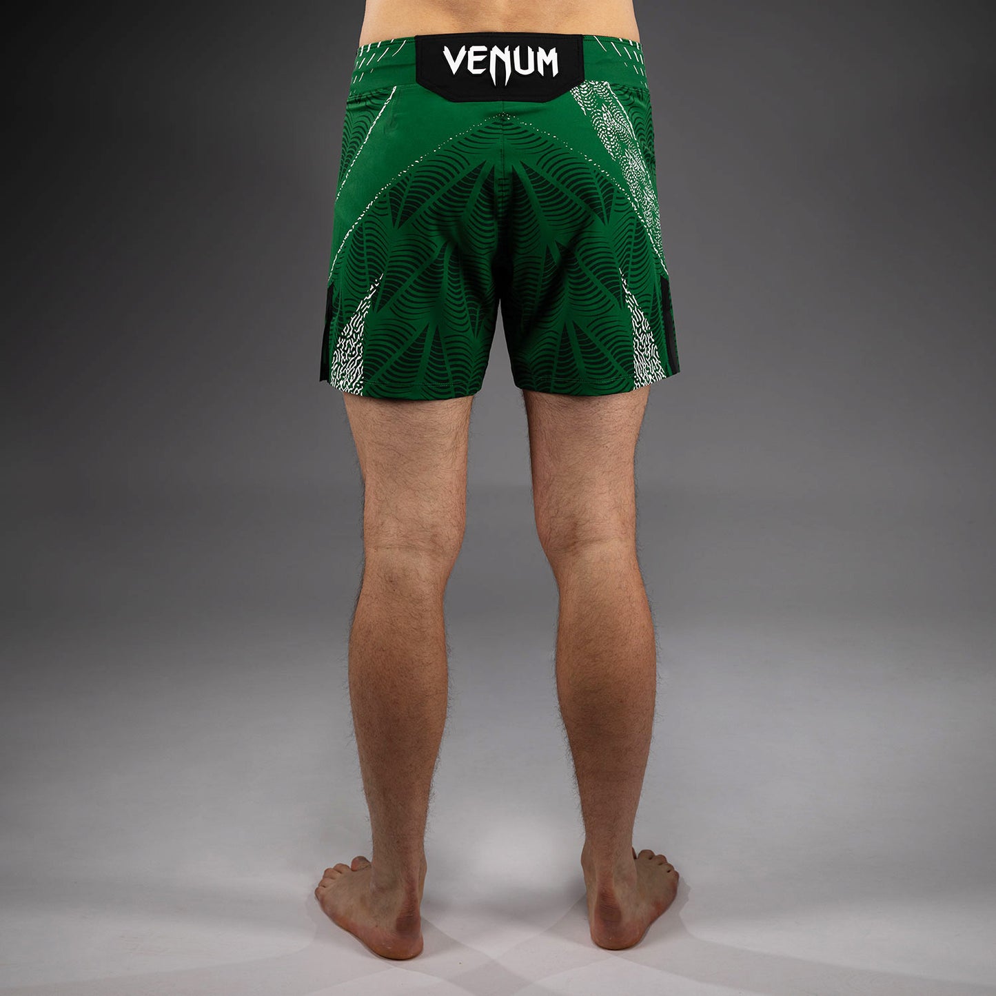 UFC Zenith by Venum Authentic Fight Night Короткие Шорты Fight Мужские - Зелёный