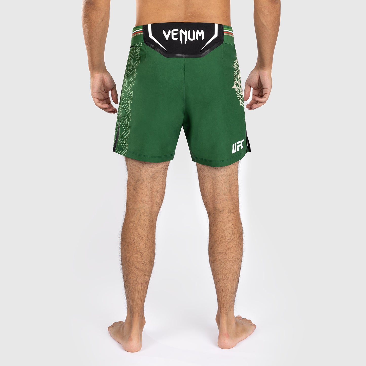 Noche UFC by Venum Authentic Fight Night Мужские шорты для борьбы - короткий крой - зеленый
