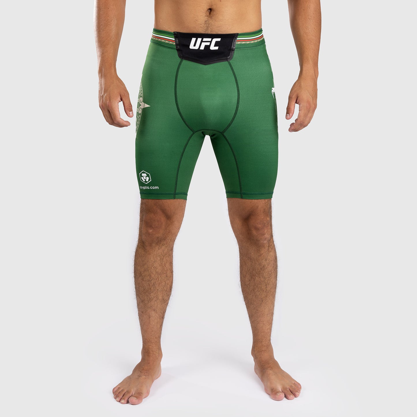 Noche UFC by Venum Authentic Fight Night Мужские шорты Vale Tudo - зеленые