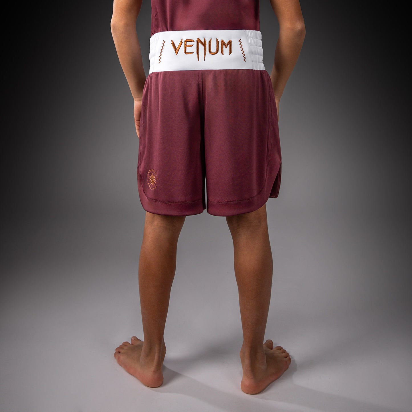 Боксерские шорты Venum Classic для детей – Бордовый