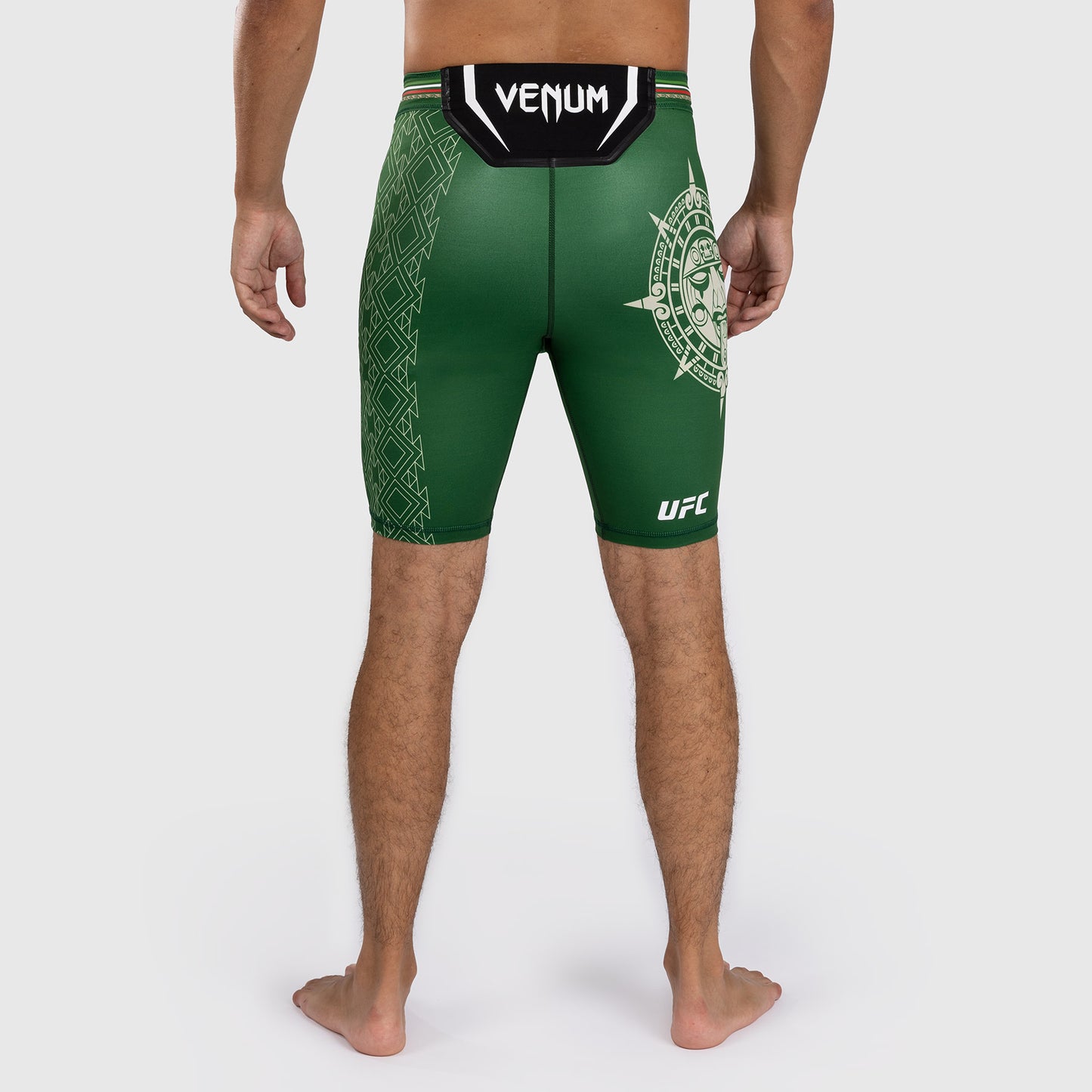 Noche UFC by Venum Authentic Fight Night Мужские шорты Vale Tudo - зеленые