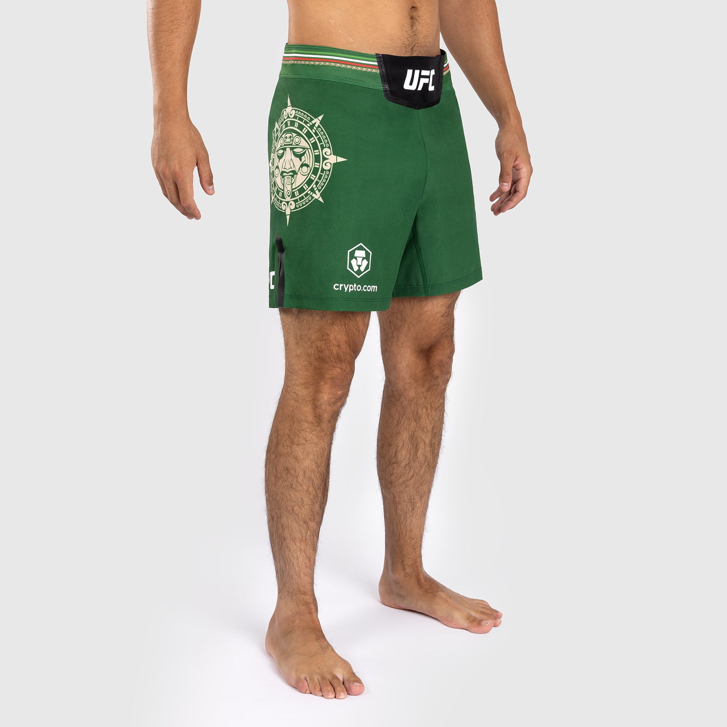 Noche UFC by Venum Authentic Fight Night Мужские шорты для борьбы - короткий крой - зеленый
