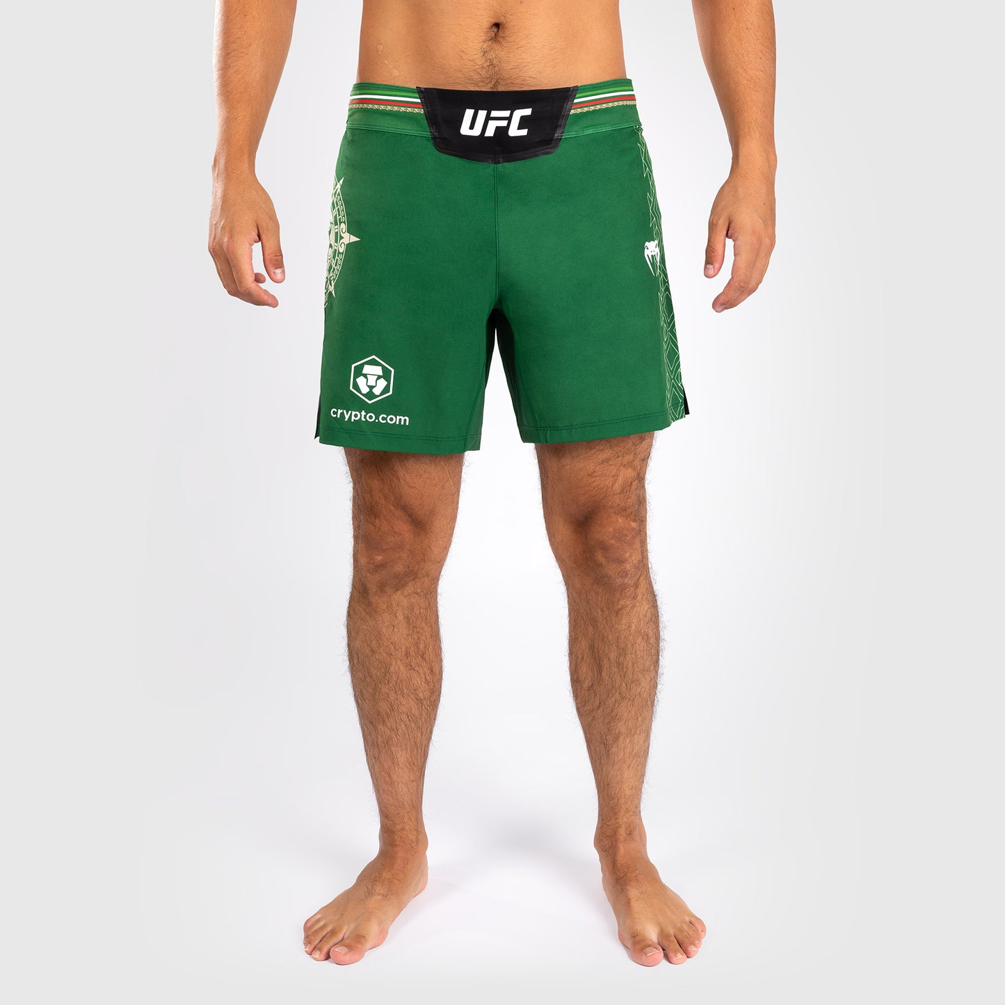 Noche UFC by Venum Authentic Fight Night Мужские шорты для борьбы - короткий крой - зеленый