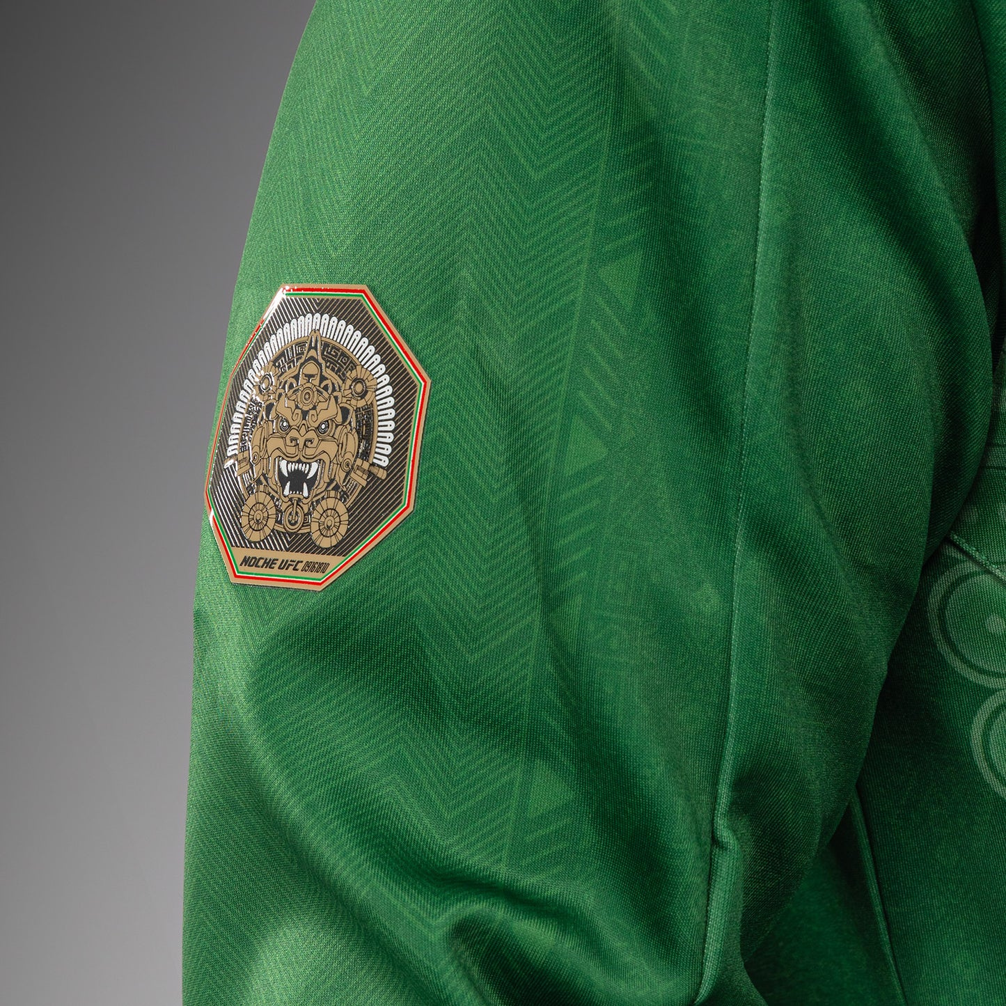 Noche UFC 2.0 By Venum Authentic Fight Night Толстовка с капюшоном - Зеленый