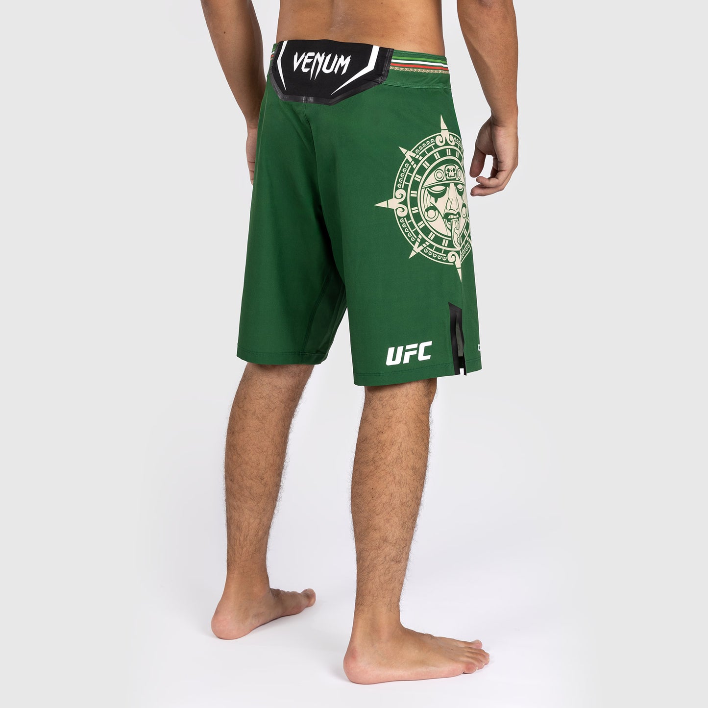 Noche UFC by Venum Authentic Fight Night Мужские шорты Fight, длинные, зеленые
