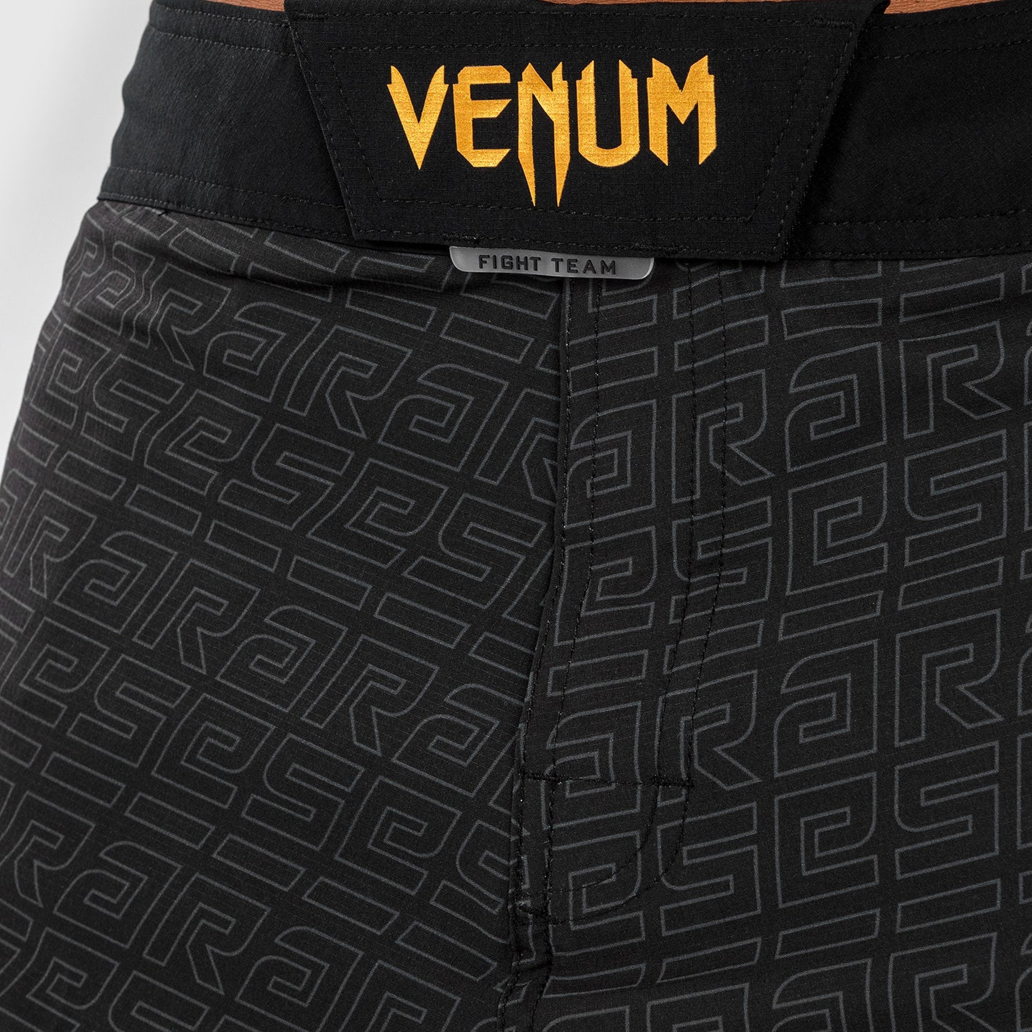 Venum x Ares Мужские Шорты для Боя - Черный/Золотой