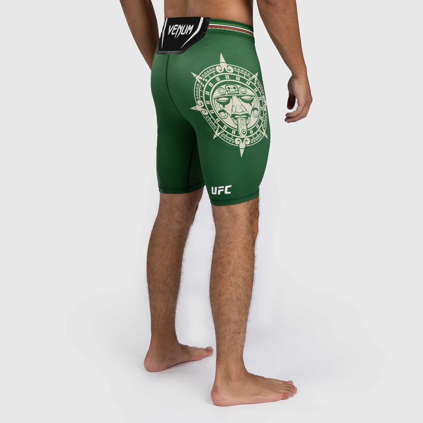 Noche UFC by Venum Authentic Fight Night Мужские шорты Vale Tudo - зеленые