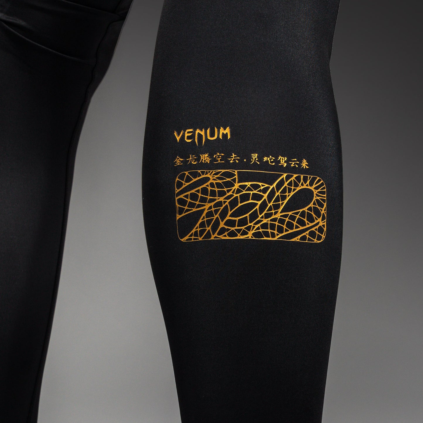 Трико для единоборств Venum Serpenti – Чёрный/Серебряный/Золотой