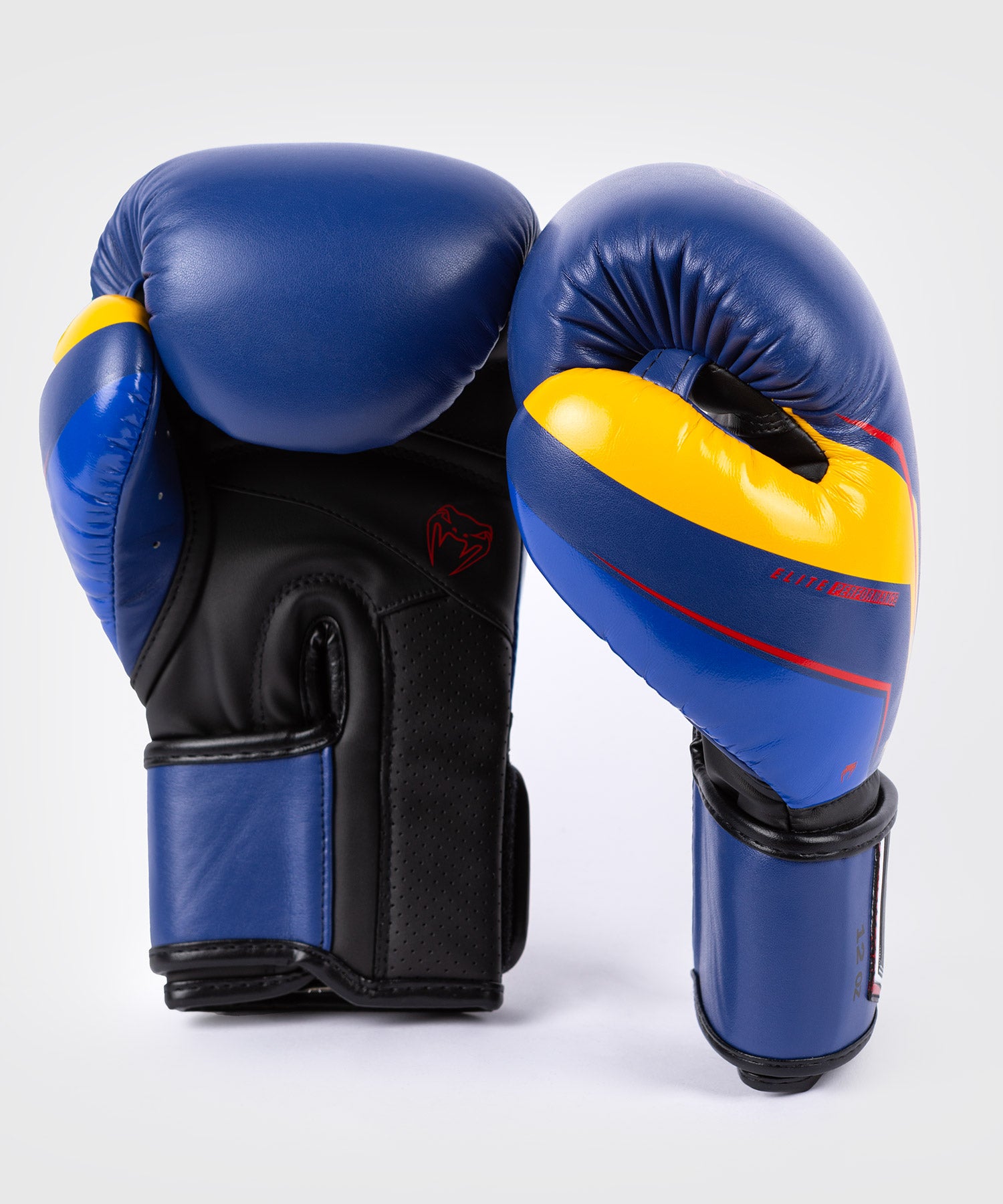 Everlast venum 2025